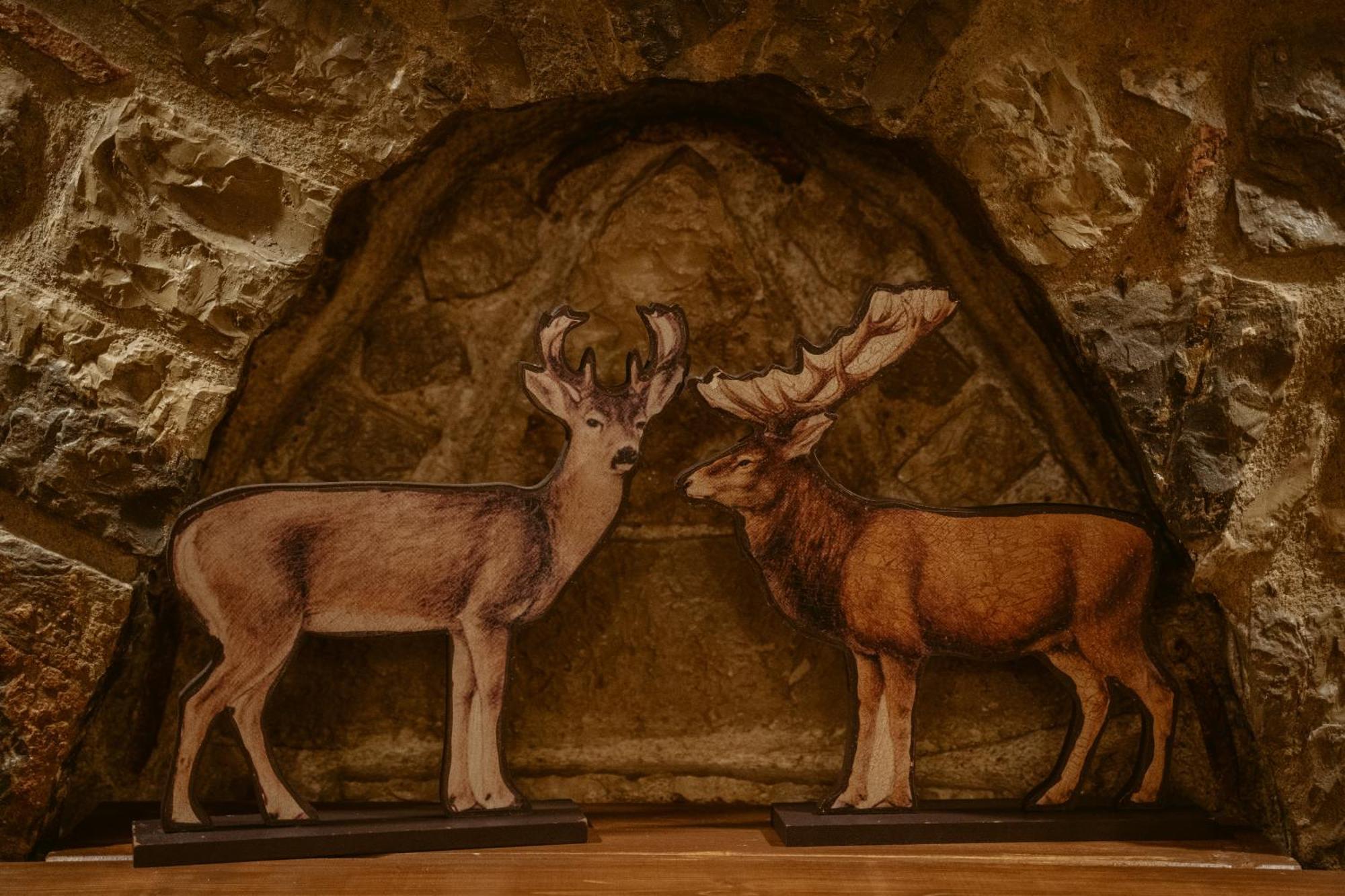 Afanos Guesthouse Arachova Ruang foto